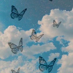 Meet your Posher, Shabnam